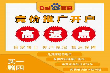 百度推广运营策略案例：品牌提升的捷径